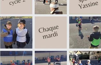 Handball en cycle II