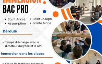 Immersion en BAC PRO