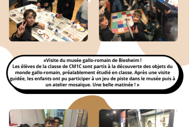 Visite du musée Gallo-romain