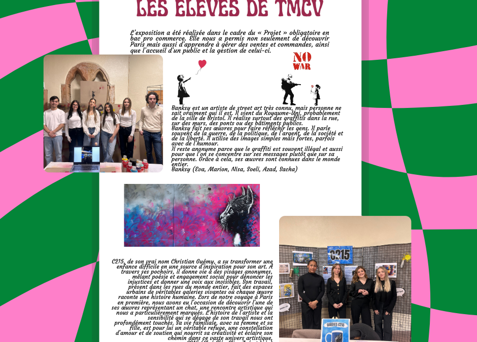 Exposition Street Art par les TMCV