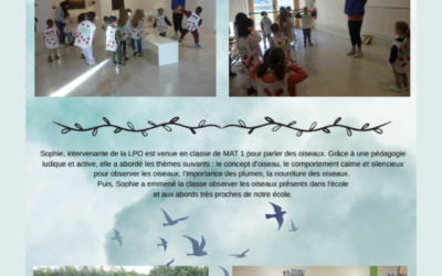 Les maternelles au Musée Unterlinden