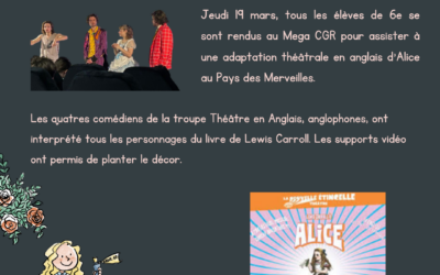 6E au pays des merveilles