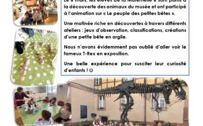 Découverte des animaux au musée d&rsquo;histoire naturelle de Colmar